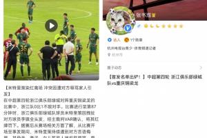 2019世界杯男团瑞典