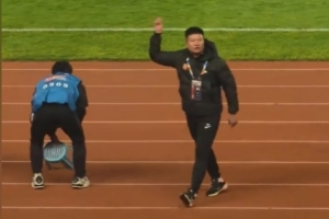 fifaol3终极最佳球员包