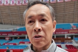 FIFA移动版数据