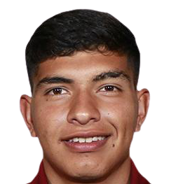 卡斯塔涅达