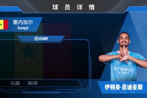 HWG！曼城花费6500万镑签下埃弗顿边锋恩迪亚耶，来看集锦